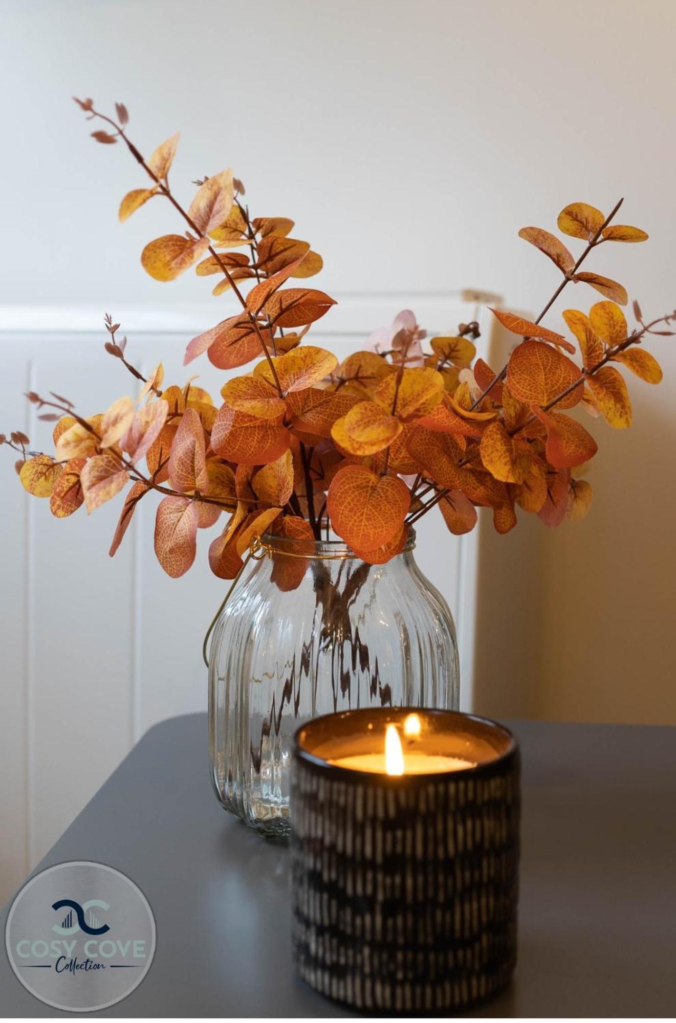 Appartamento Cosy Cove